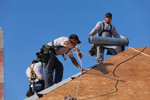 Best Storm Damage Roof Repair  in Horizon City, TX